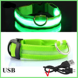 Collier Lumineux LED Chien