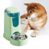Distributeur Eau Gravité Chien