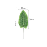 Feuillage Jungle Terrarium