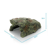 Maison Cachette Tortue