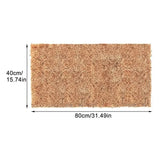 Plancher Absorbant Terrarium