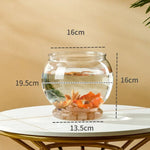 Aquarium Petit Volume