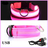 Collier Lumineux LED Chien