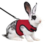 Harnais Sécurité Lapin